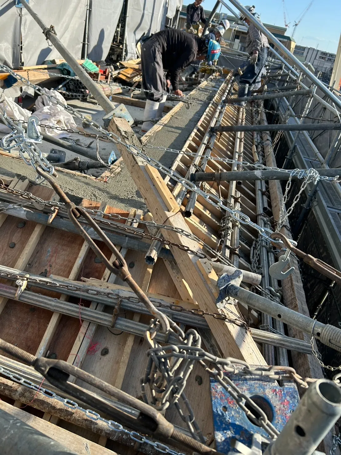 こりゃー大変だぁー