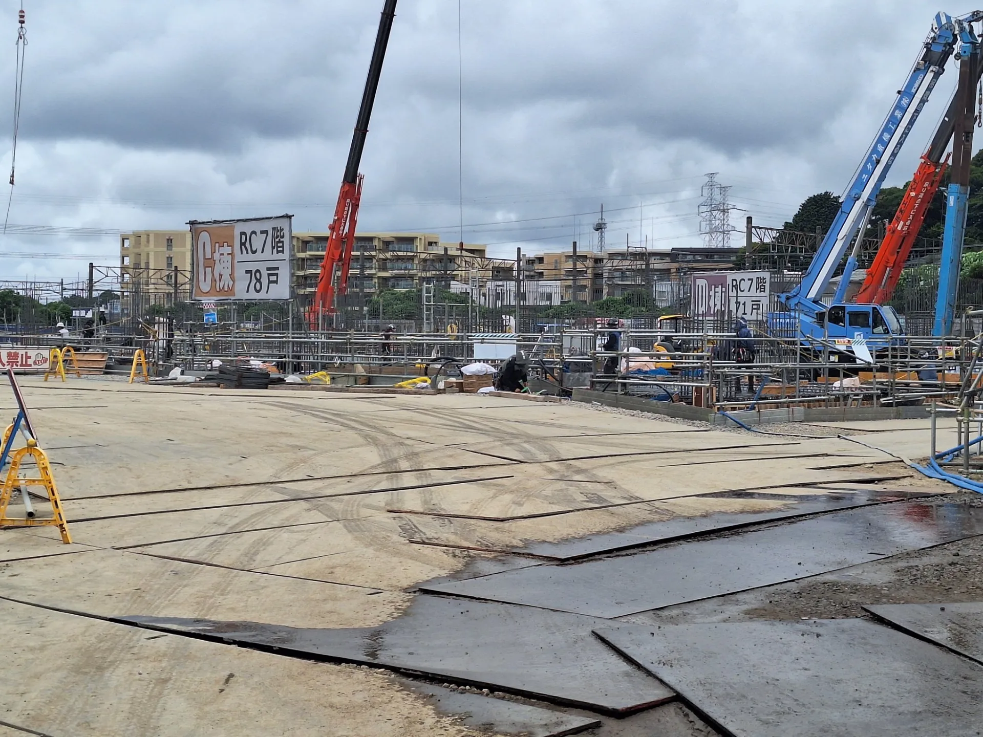 梅雨　どこ行ったぁ～？